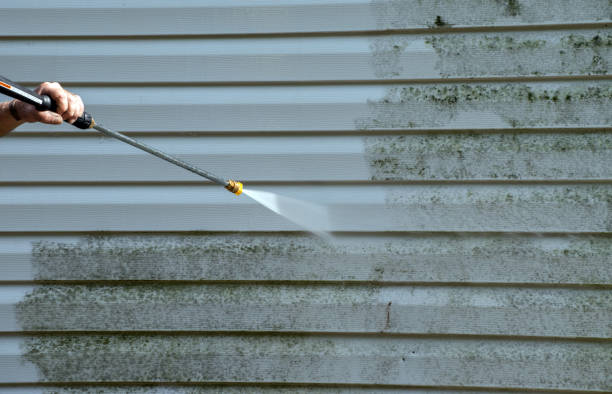 Best Driveway Pressure Washing  in Schuyler, NE